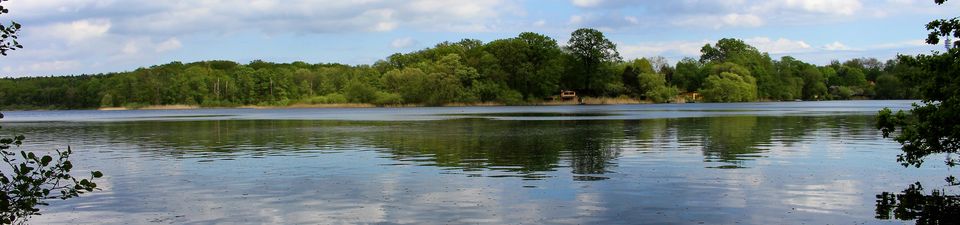 Im Bild ist der Sacrower See zu sehen, im Wasser spiegeln sich die Bäume und die Wolken.