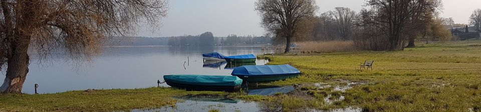 Im Foto erkennt man mehrere Boote, bei denen alle eine blaue Plane drüber gespannt wurde. Zwei liegen auf der Uferwiese bei Niewisch, der Rest im Wasser eines Sees.