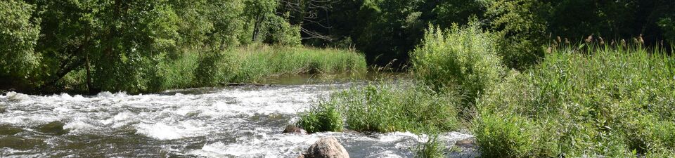 Biotopverbund Spreeaue